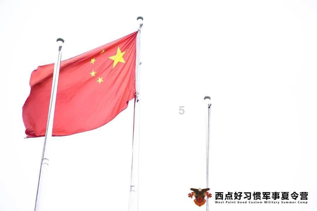 可怜猫的救援